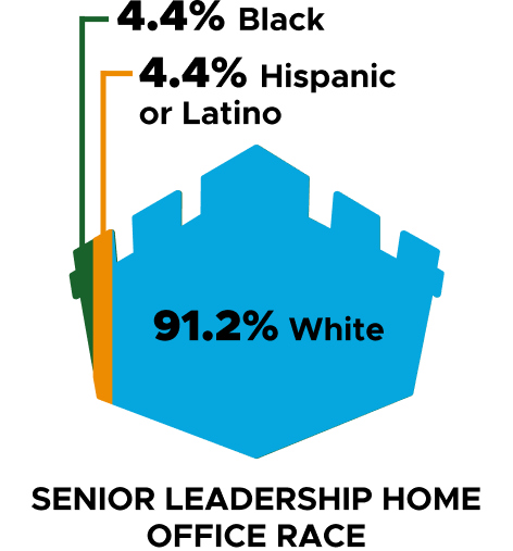4.4% Black, 4.4% Hispanic or Latino, 91.2% White, Senior Leadership Home Office Race